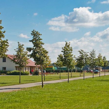 Ferienwohnung Hof Maiweg Alt Schonau Bagian luar foto