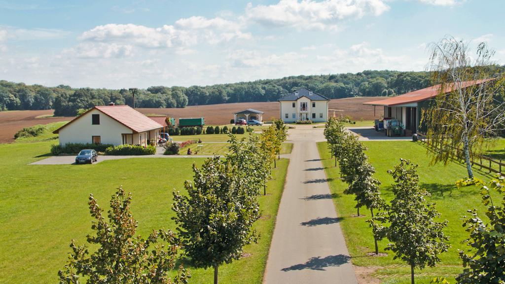 Ferienwohnung Hof Maiweg Alt Schonau Bagian luar foto